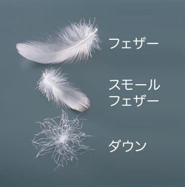【全身が性感帯になる！】フェザータッチでイクには？アダム徳永の教えを参考に
