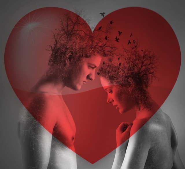 みんな大好き？カーセックスでスリルと興奮を味わおう！