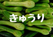 きゅうり